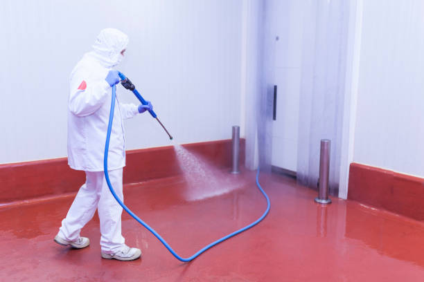 Best Graffiti Removal Services in Eastport, ME